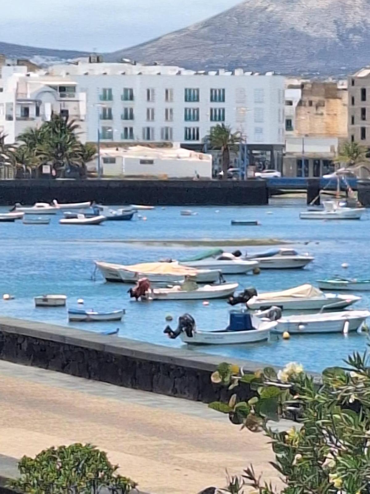 Apartament Ca'espe Arrecife (Lanzarote)
